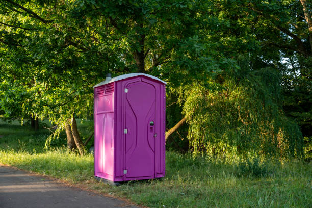 Best Local porta potty services  in Palos Hls, IL